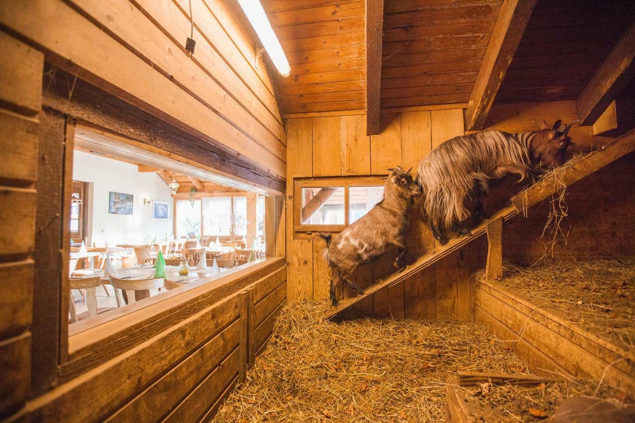 Hotel Restaurant Schoenau Вилдхаус Екстериор снимка